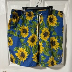 Men’s Size Large Pacsun Swim and Casual Shorts